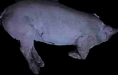 Crop