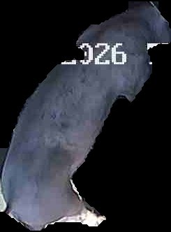 Crop
