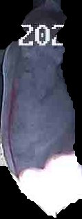Crop