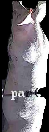 Crop