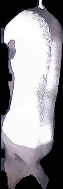 Crop