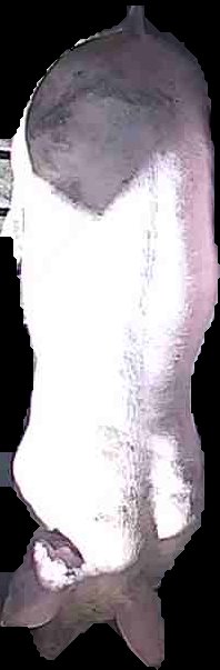 Crop