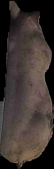 Crop