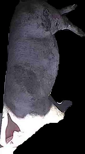 Crop