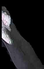Crop
