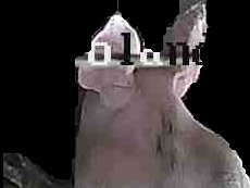 Crop