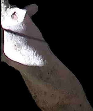 Crop