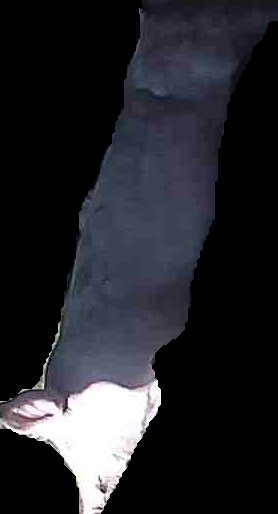 Crop