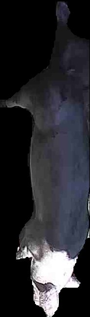 Crop