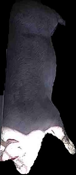 Crop