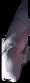 Crop