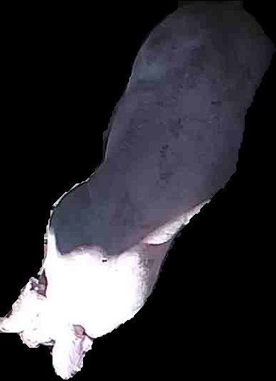 Crop
