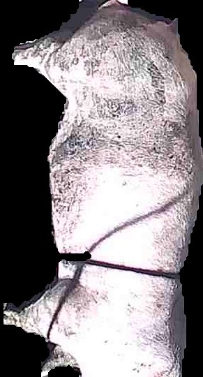Crop