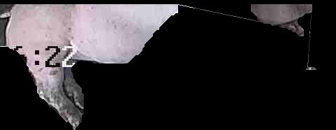 Crop