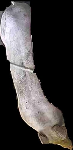 Crop