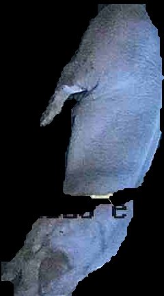 Crop