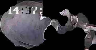 Crop