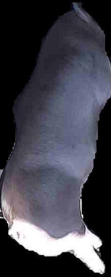 Crop