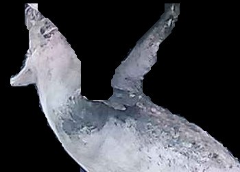 Crop