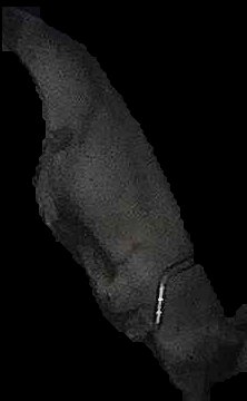 Crop