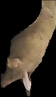 Crop