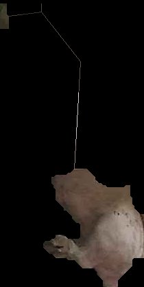 Crop