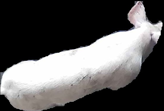 Crop
