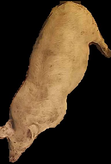 Crop