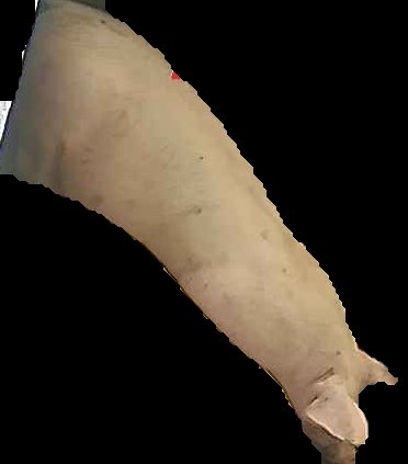 Crop