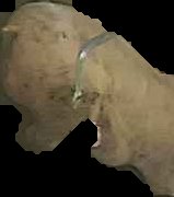 Crop
