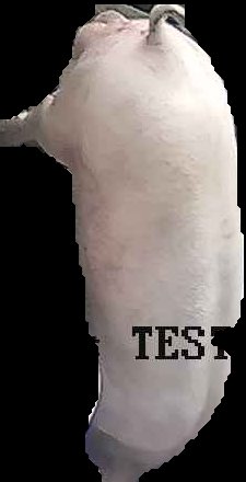 Crop