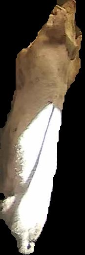 Crop