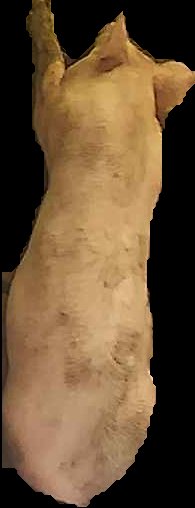Crop