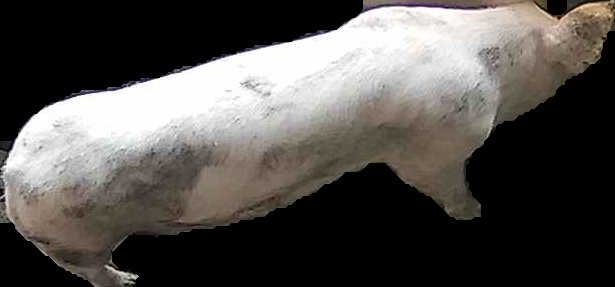 Crop