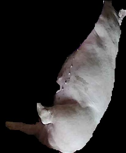 Crop