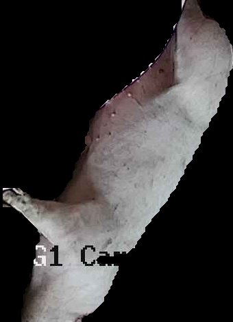 Crop