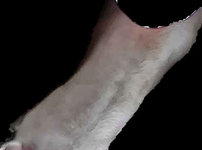 Crop