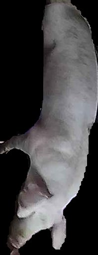Crop