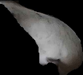 Crop