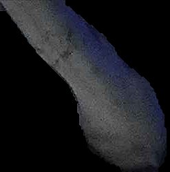 Crop