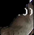 Crop