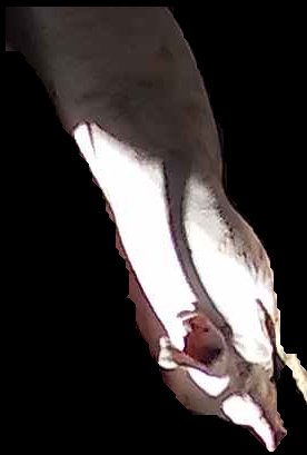 Crop