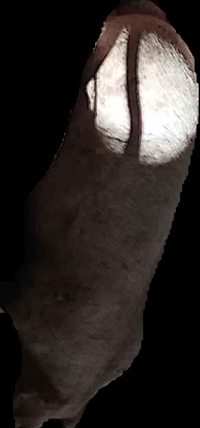 Crop