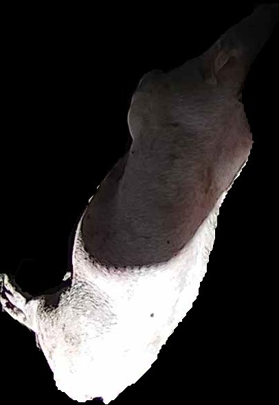 Crop