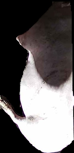 Crop