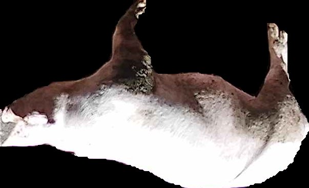 Crop