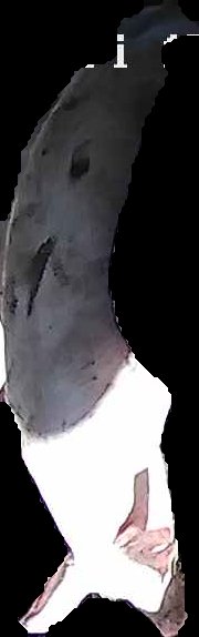 Crop