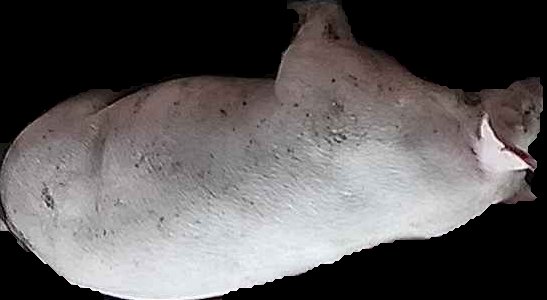 Crop
