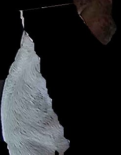 Crop