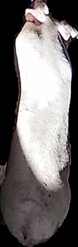 Crop